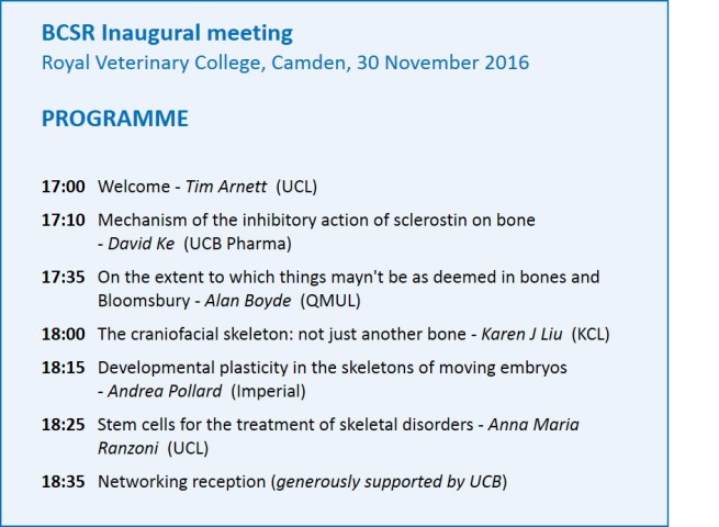 Programme in text box