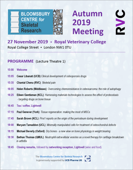 Programme BCSR Nov 2019 PNG